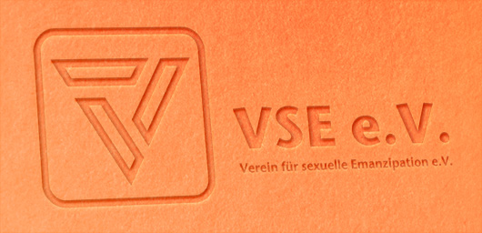 VSE mobile Header