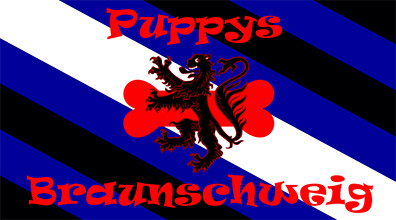 Puppies Braunschweig